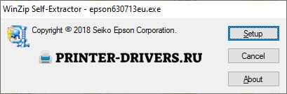 Скачать драйвер для принтера Epson EcoTank L3151 бесплатно - инструкция по установке