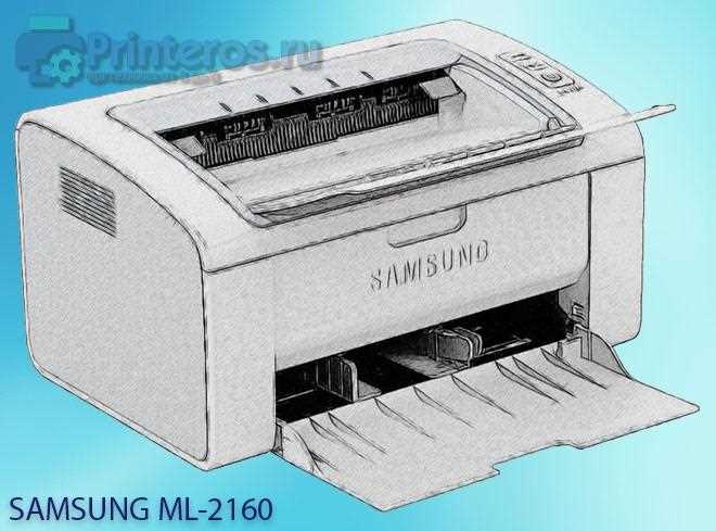 Скачать драйвер для принтера Samsung ML-2165W бесплатно